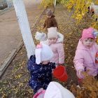 IMG_20250924_163455_267@594376012 - копия.jpg