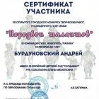 диплом ребенка (2).jpg