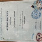 IMG_5257.jpeg